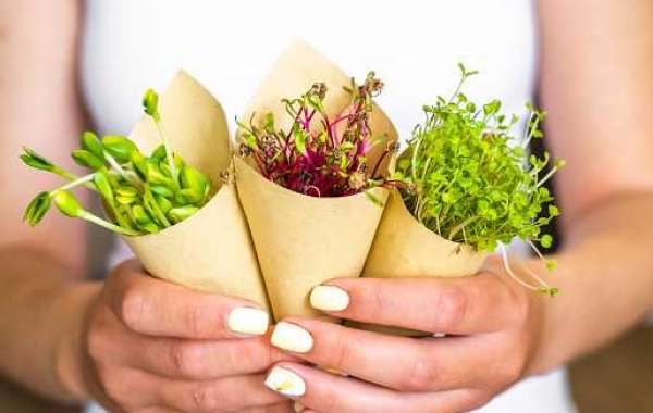Microgreens Market Analysis Revenue, Forecast by Product and Competitor with Regional Growth