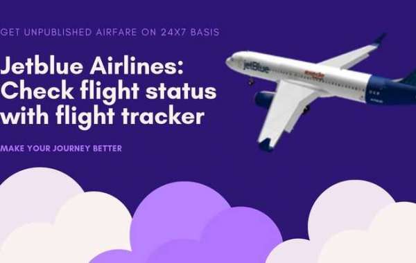 JetBlue Flight Status Tracker: How to Check Your Flight Status